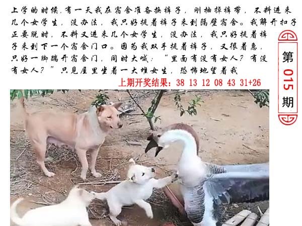 015期澳门生活幽默[图]