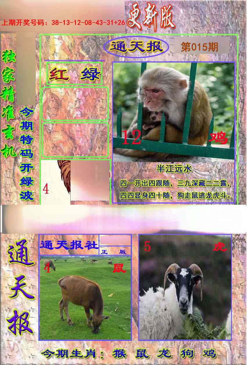 015期新通报[图]