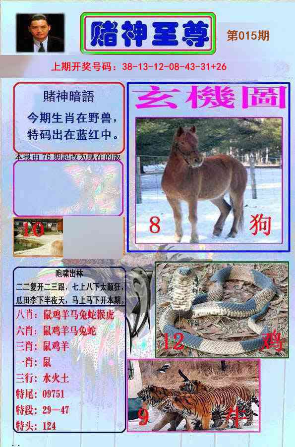 015期赌神至尊[图]