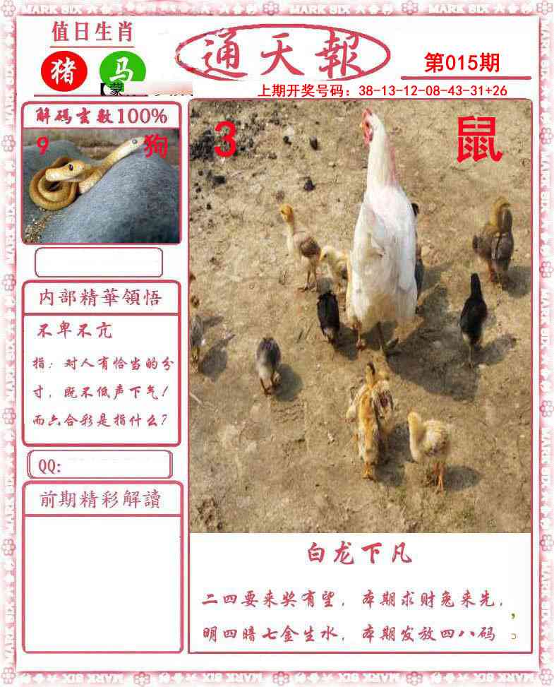 015期正版通天报[图]