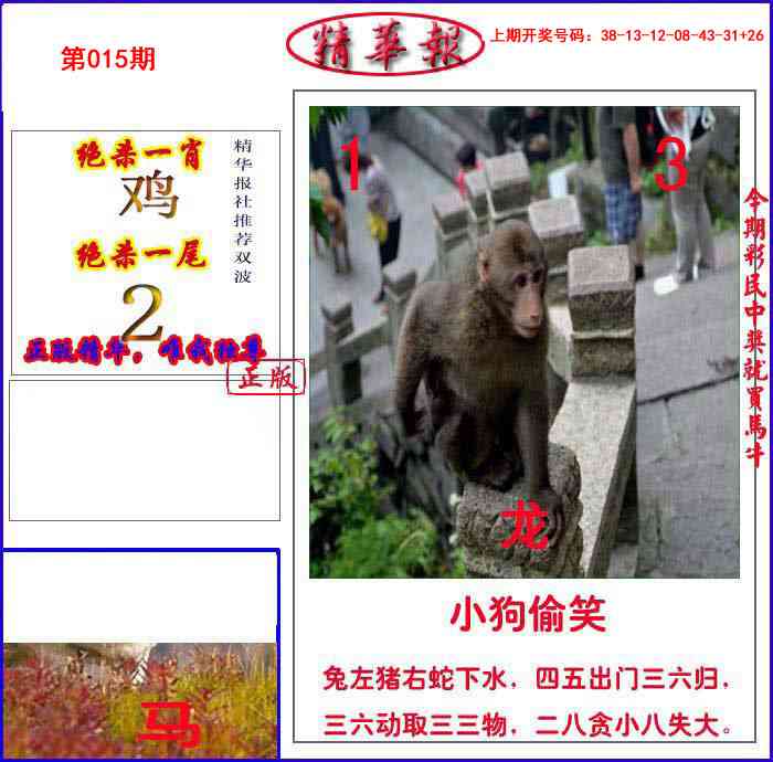 015期新精华报报[图]