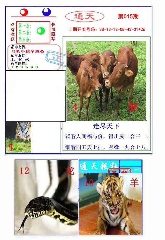 015期通天杀波图2[图]