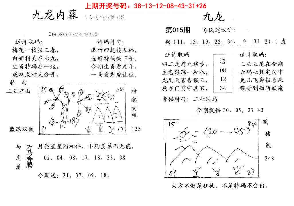 015期九龙内幕[图]