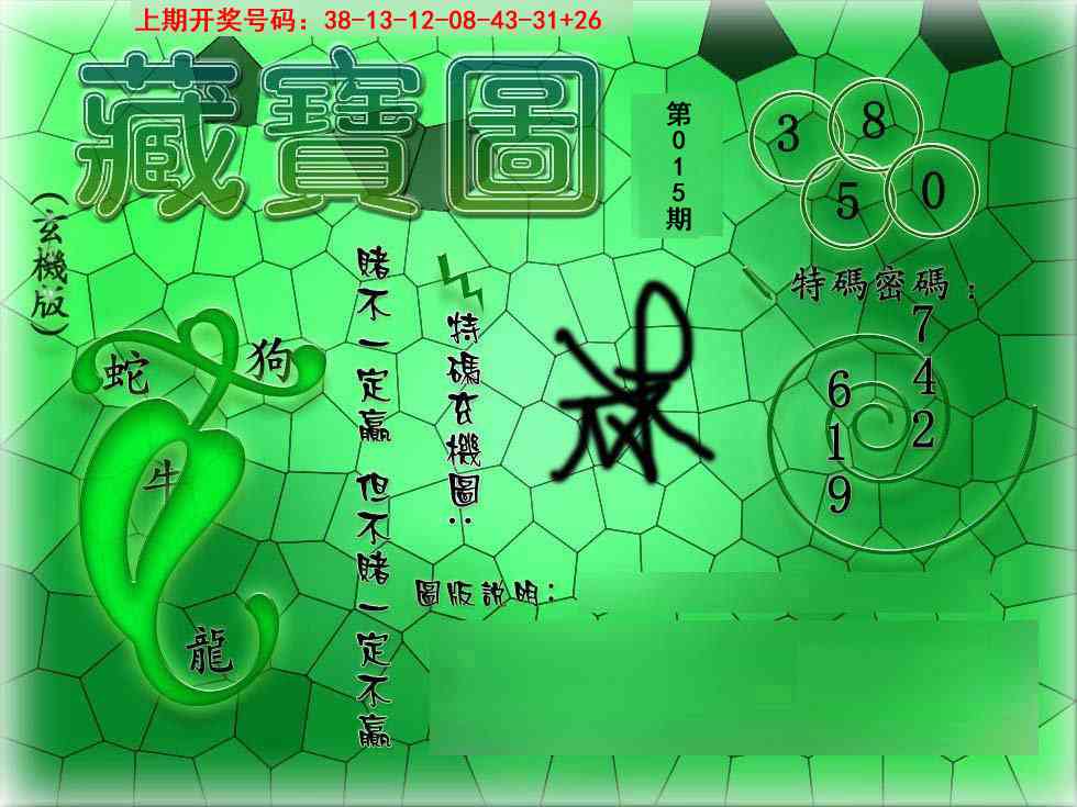 015期九龍玄机报[图]