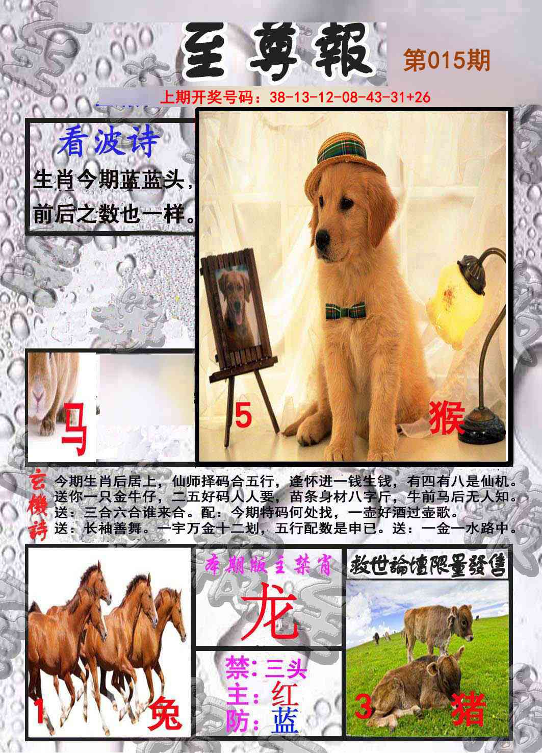 015期至尊报[图]