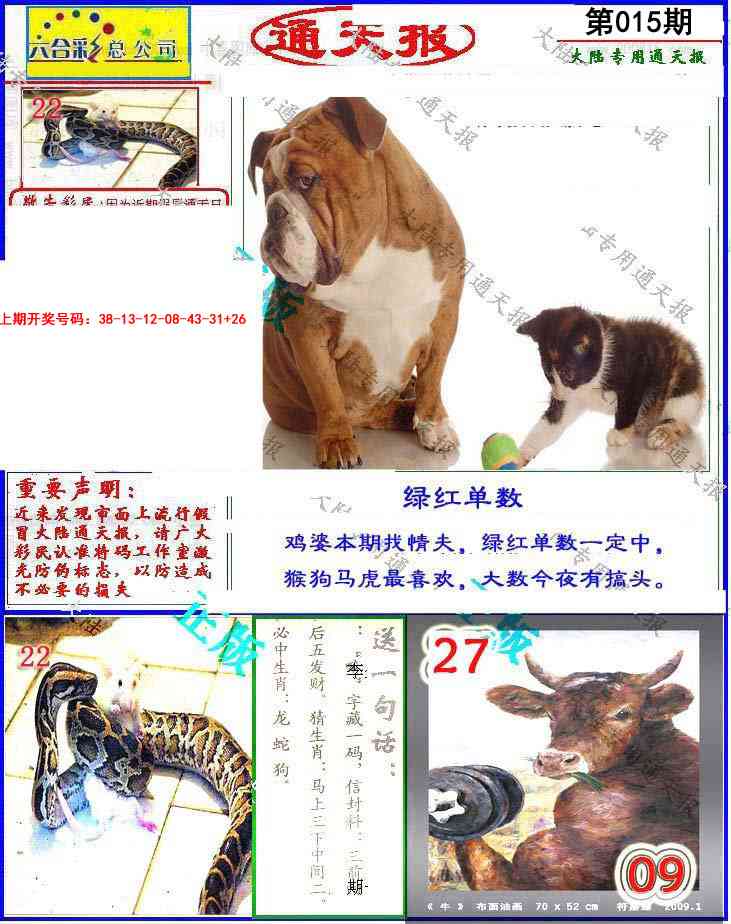 015期大陆通天报[图]