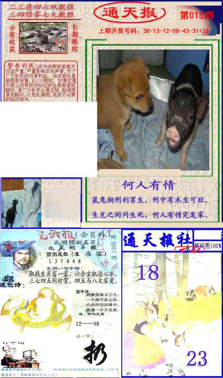 015期实力通天报[图]