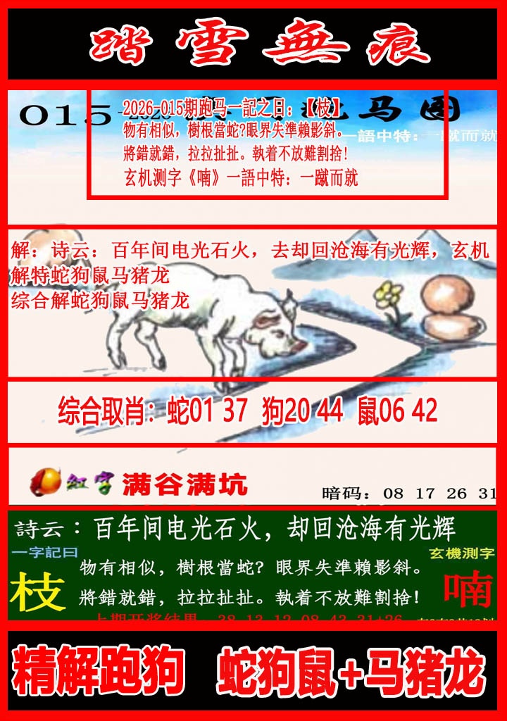 015期踏雪无痕跑马图[图]