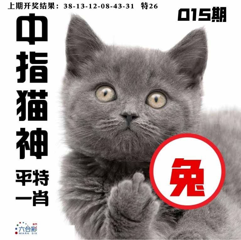 015期中指猫神[图]