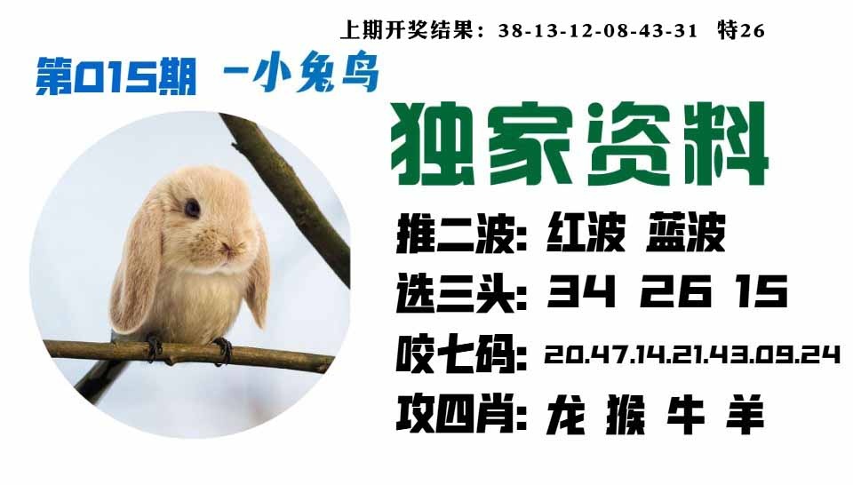 015期小兔鸟[图]