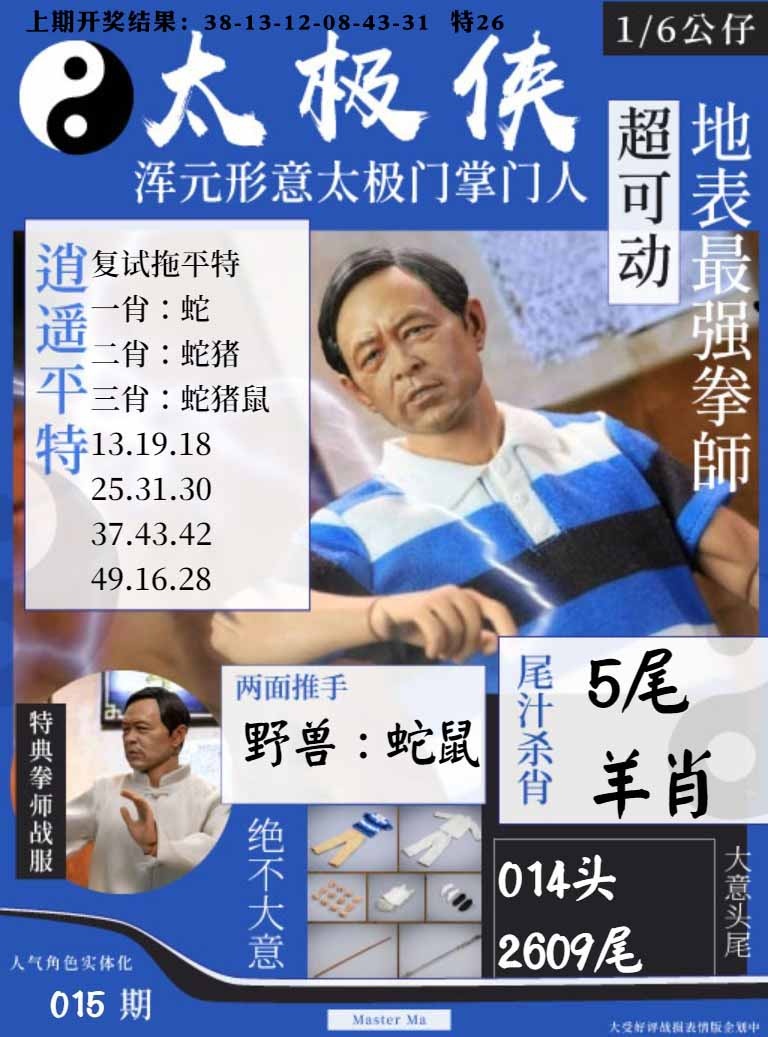 015期太极侠[图]